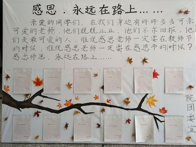 院团委举办“感念师恩 立志成才”主题征文比赛
