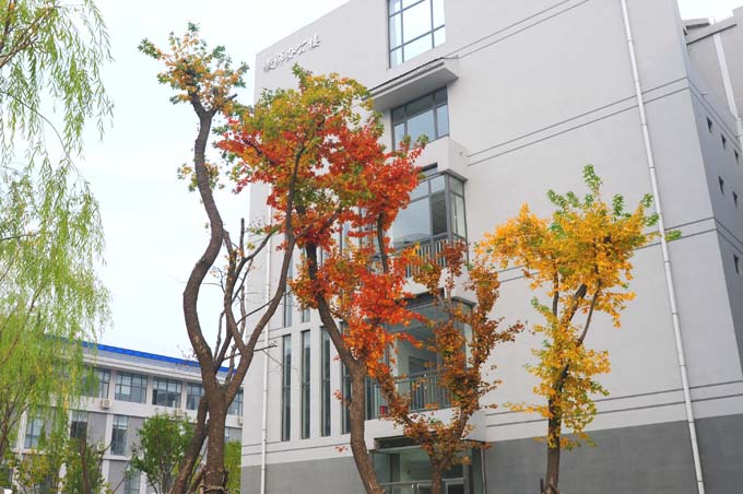 铁岭卫生职业学院