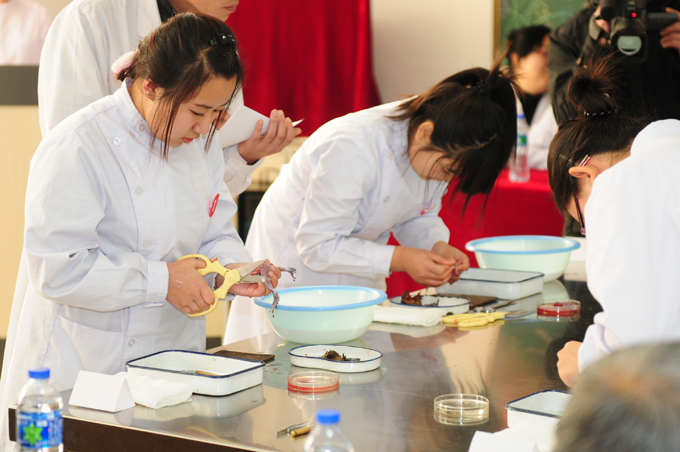 医学基础部2011实验技能大赛及解剖知识竞赛圆满落幕